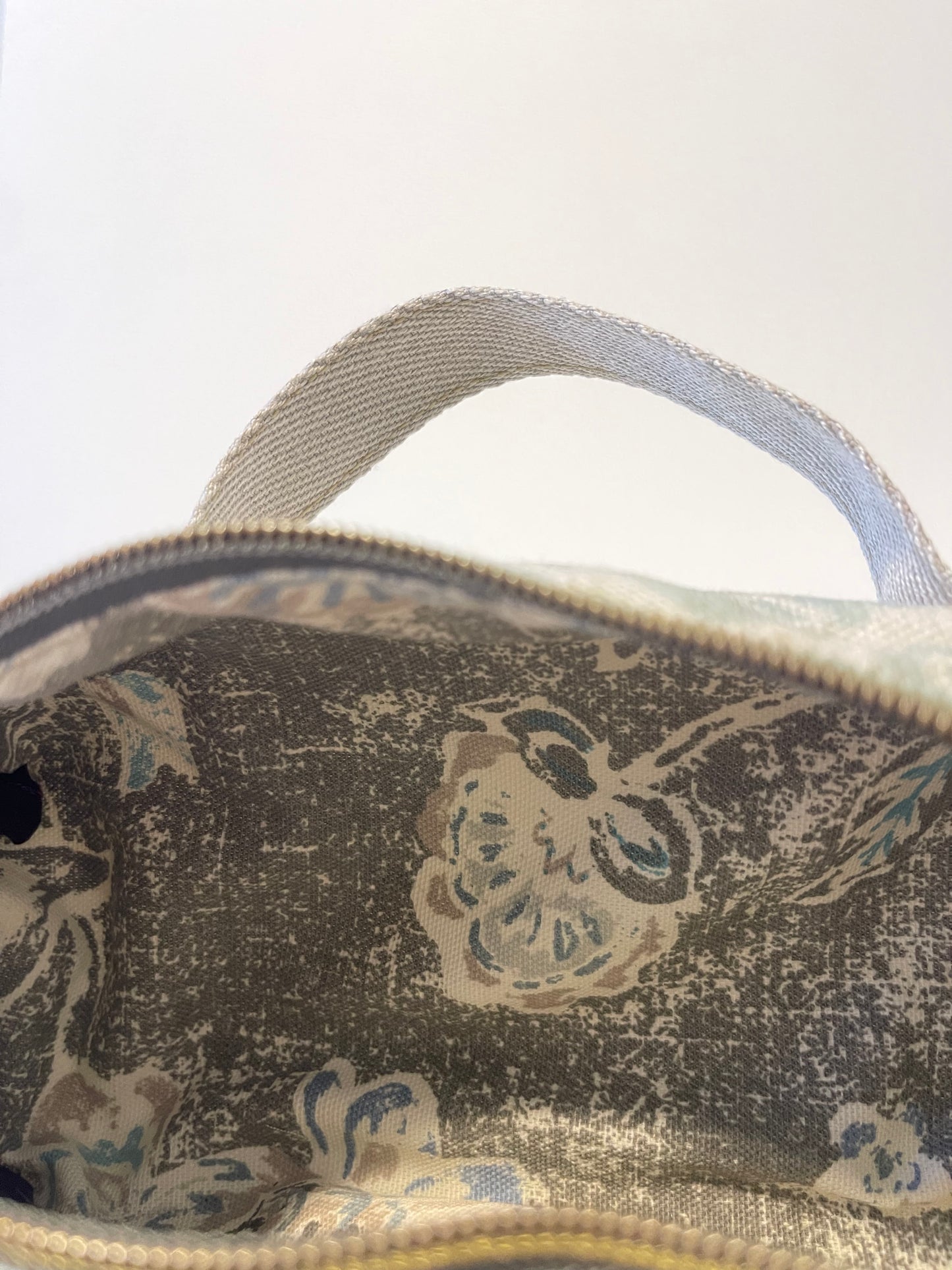 The Amelia Case in Blue