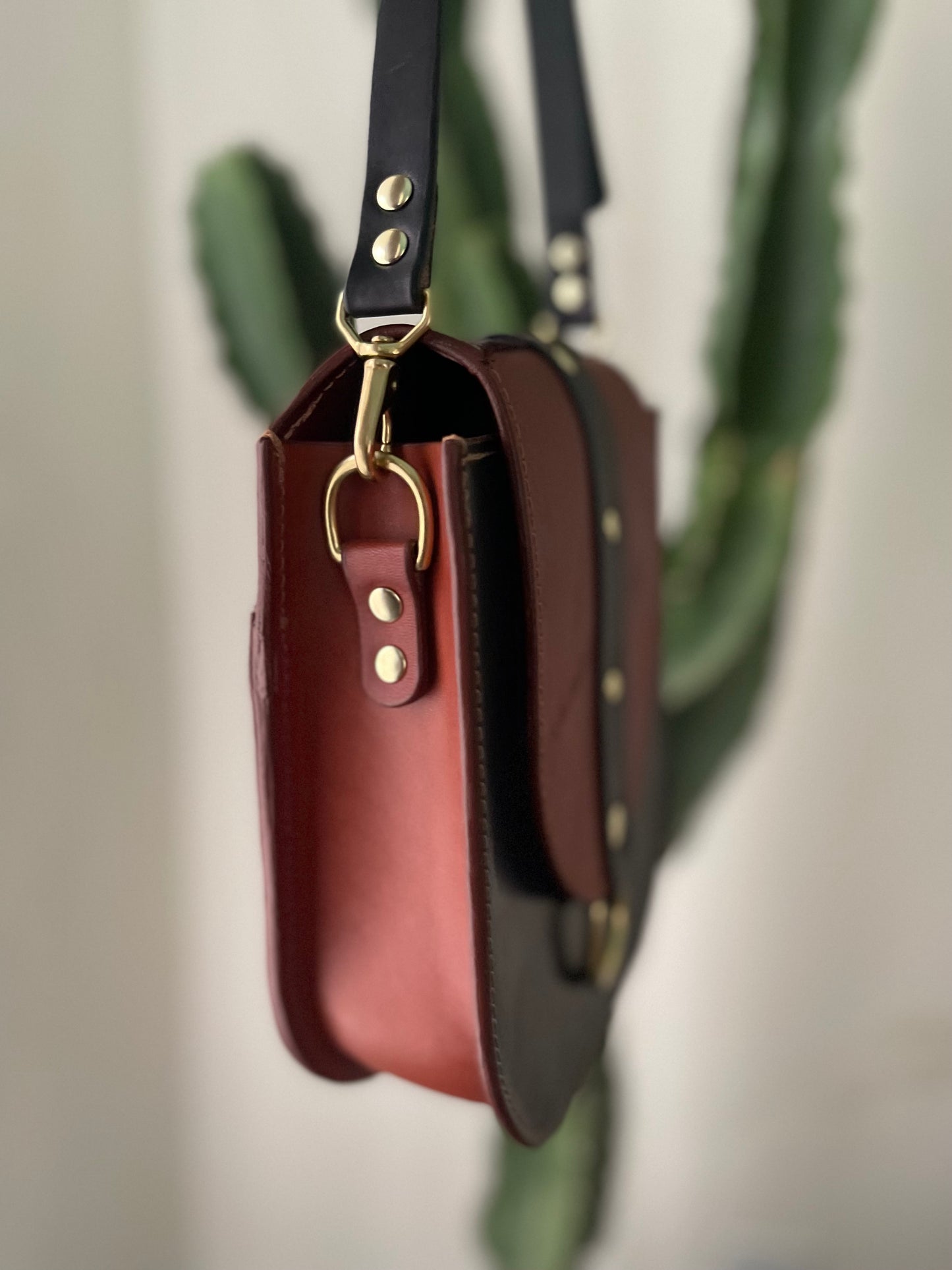 Echo with Black Strap and Brass D rings